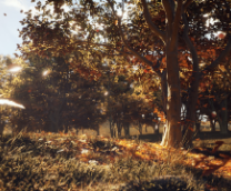 Autumng Forest | Unreal Engine 5.1