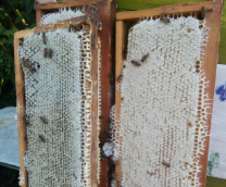 �������������