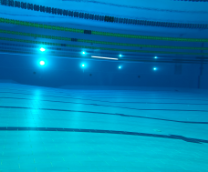 ��� ������ � ���������