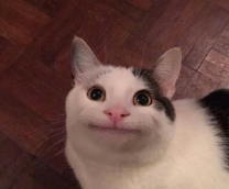 ,    