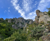 ���� ��������