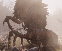 . Fallout