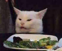 ���� �������������