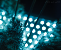 Фотография I Canon EOS 5D Mark I