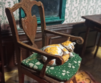 ������� �������.