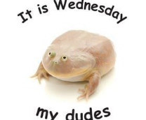 It's Wednesday day, my dudes