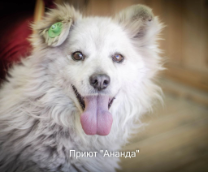 ������� ������ ������