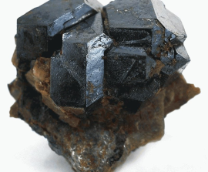 ������ ����