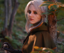 The Witcher