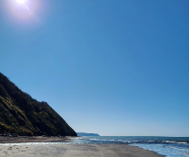 �������� �������