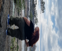 ������ - �����-��������� - ������� - ������ (����)