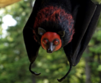 ������� ���� - ������� ������ ������ �� �����.